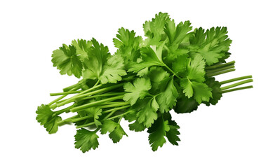 Fresh Culinary Herb Coriander Isolated Background. AI
