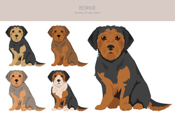Borkie clipart. Beagle Yorkshire terrier mix. Different coat colors set