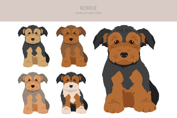 Borkie clipart. Beagle Yorkshire terrier mix. Different coat colors set