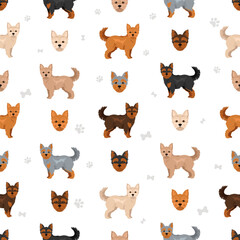 Chorkie seamless pattern. Chihuahua Yorkshire terrier mix. Different coat colors set