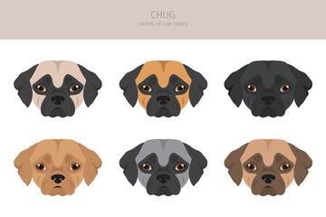 Chug clipart. Chihuahua Pug mix. Different coat colors set