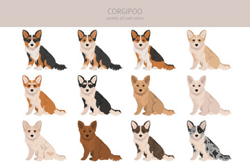 Corgipoo clipart. Welsh corgi Poodle mix. Different coat colors set