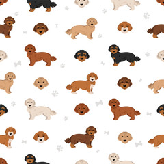 Doxiepoo seamless pattern. Dachshund Poodle mix. Different coat colors set