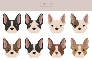 Frenchton clipart. French bulldog Boston terrier mix. Different coat colors set