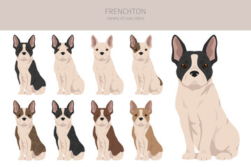 Frenchton clipart. French bulldog Boston terrier mix. Different coat colors set