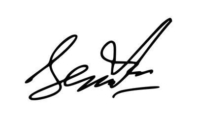 Abstract Signature Idea Starting With Letter S for Document. Vector with Transparent Background.