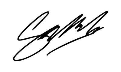 Abstract Signature Idea Starting With Letter S for Document. Vector with Transparent Background.