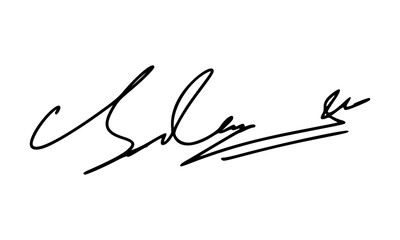 Abstract Signature Idea Starting With Letter S for Document. Vector with Transparent Background.