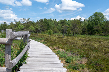 Moor landscape  with a wooden path