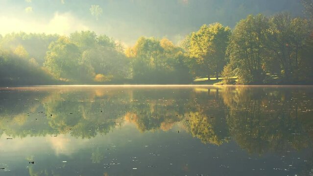 Beautiful autumn morning at lake Thal  near Graz, Styria region, Austria. Environmental concept in 4k resolution.