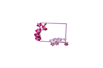Close-up shot of a photo frame with orchids placed isolated on a transparent background png file.