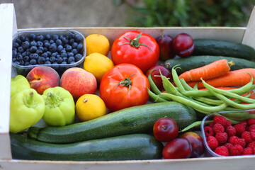 Wooden crate full of healthy seasonal fruit and vegetable, in the garden. Selective focus.