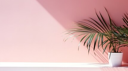 Fototapeta na wymiar Shadow from palm leaves on the pink wall, Product presentation.