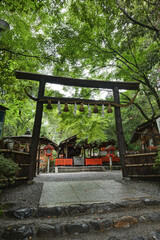Fototapeta na wymiar 野宮神社の黒木の鳥居と本殿