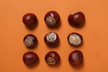 Fresh chestnut fruits on an orange background