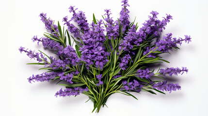 Top view of a bouquet of lavender flowers isolated on white background