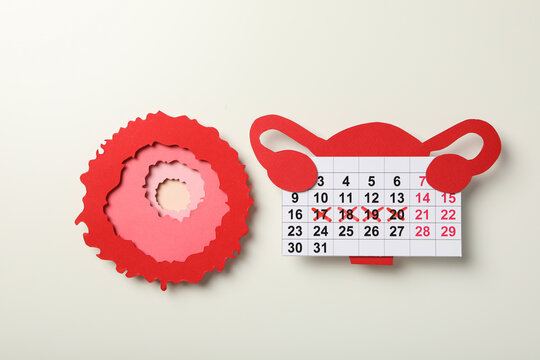 Ovulation period, calendar with clock, conception process.