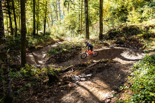 Mountain Biker auf Singeltrail in Waldabfahrt