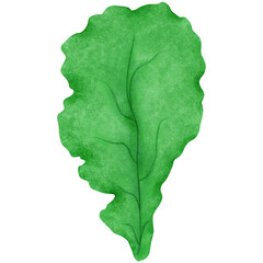 Healthy Dietary Culture, vegetable, Color ful