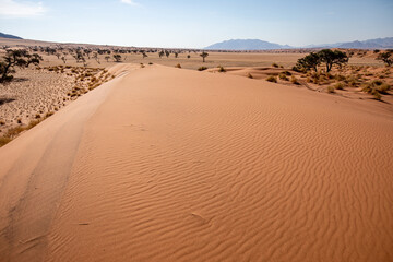 Désert de dunes au porte du Namib, Sud-Est de la Namibie