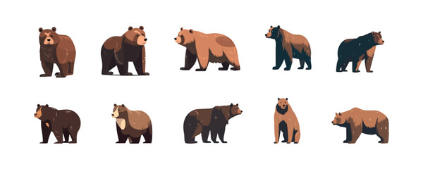 Bear set flat cartoon isolated on white background. Vector isolated illustration