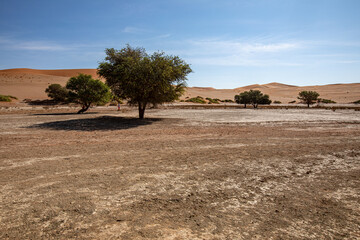 Sossusvlei dans le désert du Namib autour de Sesriem