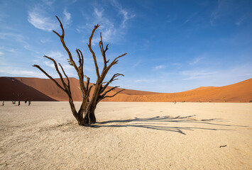 Dead Vlei dans le désert du Namib en Namibie - obrazy, fototapety, plakaty