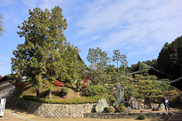 京都の寺院の庭園