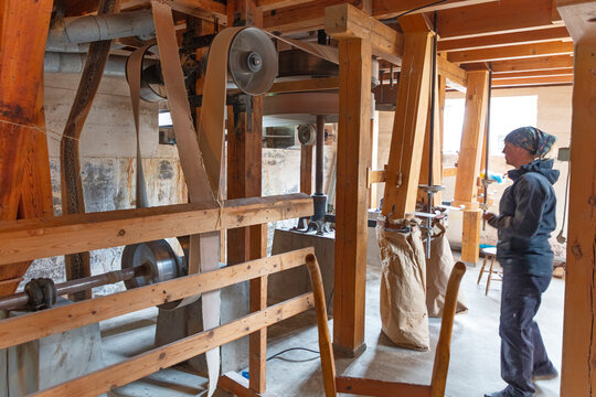 Woman in flour mill checking working machinery