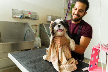 Beautiful shih tzu dog wet after a bath at the grooming spa