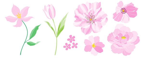 flowers isolated on white .The elegant the template for design.	