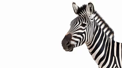 Poster Zebra isolated on white background © UsamaR