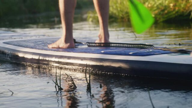 Barefoot people paddle SUP boards on river on sunny day