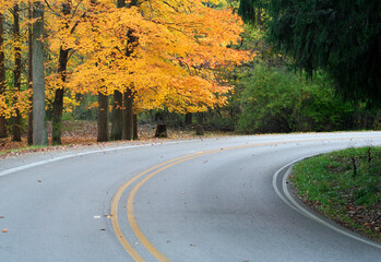 Fall Colors and Winding Road at Local Park in Indianapolis, IN,USA