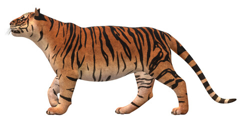 Tiger isolated on a Transparent Background