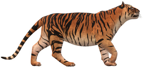 Tiger isolated on a Transparent Background