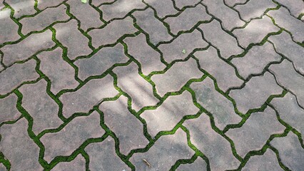 Textures 