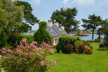 Country House with hydrangeas flowers Garden at picturesque Ile de Brehat island in Cotes-d'Armor department of Brittany, France