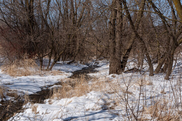 Beautiful Creek In April Snow In Wisconsin