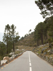 ESTRADA SERRA DA ESTRELA