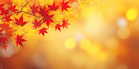 Nature palette. Symphony of autumn hues. Gilded beauty. Exploring brilliance of fall foliage. Sun kissed leaves. Capturing warmth and charm - obrazy, fototapety, plakaty