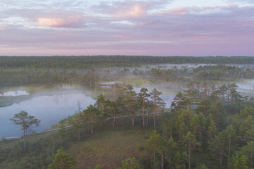 Estonian swamp Viru raba in the early summer morning, drone photo.