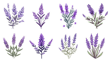 Lavender Flower Hand Drawn Illustration, Cute Decorative Elements Set