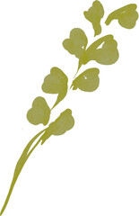 Watercolor green leaf. Watercolor illustration style with floral theme. Suitable for wedding invitation, aesthetic decoration, social media post, banner, promotion, advertising, etc.