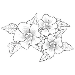 Hardy hibiscus syriacus. Line art perennial hibiscus flower coloring page vector