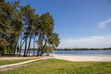 trees on the shore of lake