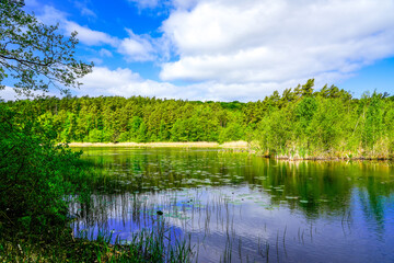 Fototapeta na wymiar Small Neuendorfer lake Jezioro Zatorek in Poland. Inland lake on the Polish Baltic Sea island of Wolin near the national park. Landscape at the lake with the surrounding green nature. 