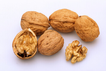 Juglans regia, Noyer, noix