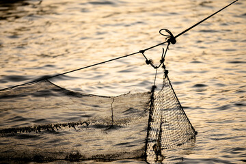 fishing in the morning