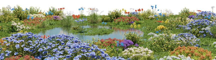 Field of colorful flowers on the lake,  Flowres on the garden in springtime with isolated on transparent background - PNG file, 3D rendering illustration